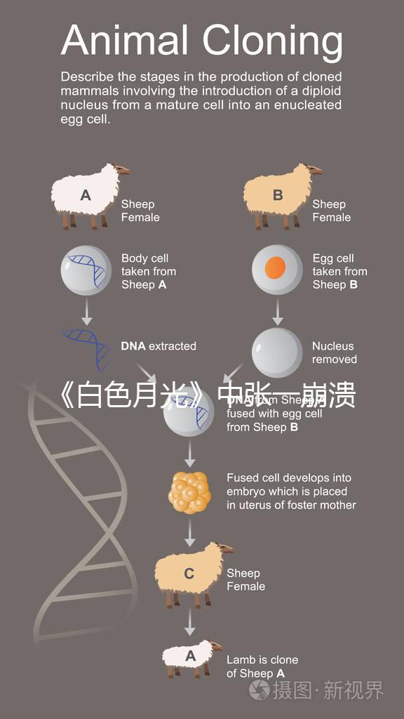 《白色月光》中張一崩潰在孩子面前哭，你認為該不該？
