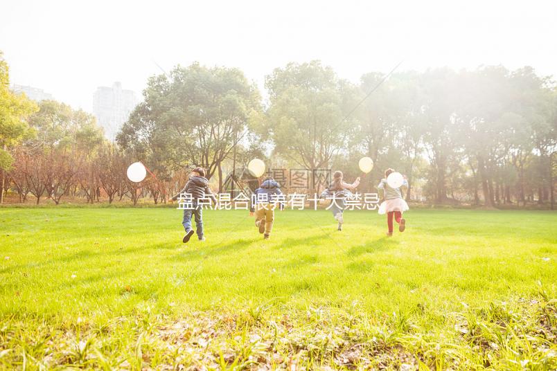 盤點(diǎn)混合喂養(yǎng)有十大禁忌！你能知道一頓母乳和一頓奶粉嗎？