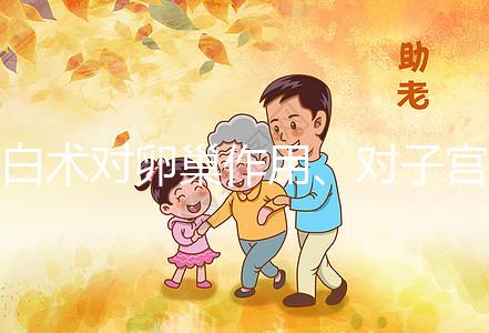 白術對卵巢作用、對子宮咋樣解答，備孕夫妻早看早安心