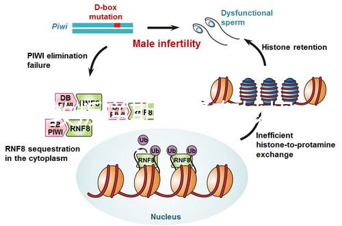 管教叛逆期孩子有妙招,這四個(gè)方法遠(yuǎn)勝封閉式管理