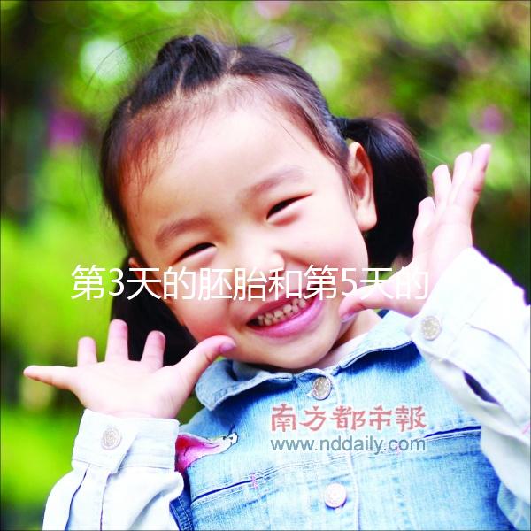 第3天的胚胎和第5天的囊胚，到底該怎么選成功率才高？