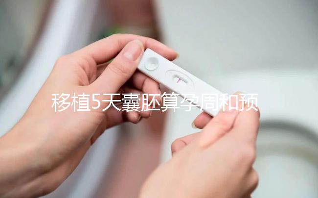 移植5天囊胚算孕周和預產期有訣竅，專家：用這2種方法