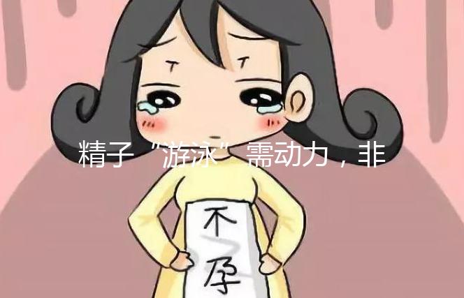 精子“游泳”需動力，非前向運動率低才有好孕