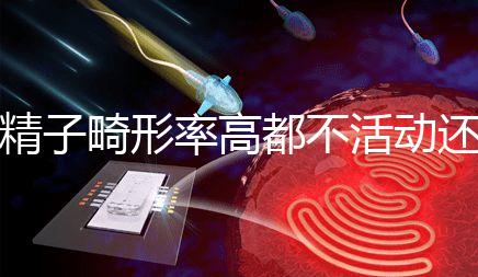 精子畸形率高都不活動還能做試管嬰兒嗎？