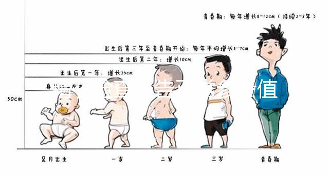 精子檢查報告正常參考值圖例分析，關注這3項指標就夠了