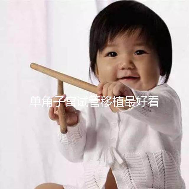 單角子宮試管移植最好看這個，兩個胚胎一目了然