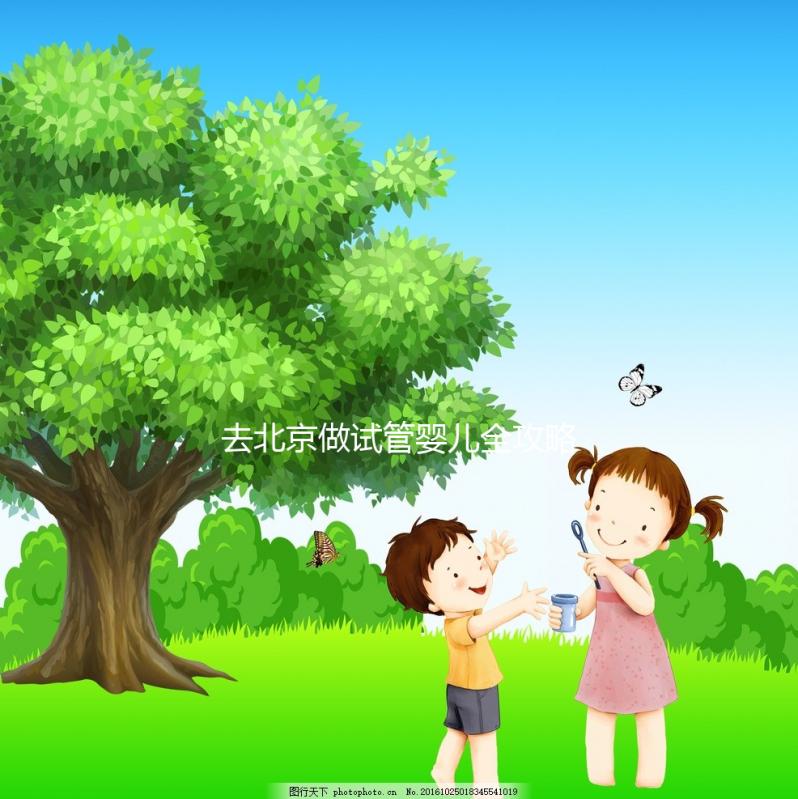 去北京做試管嬰兒全攻略：費用明細、醫院選擇及成功率分析