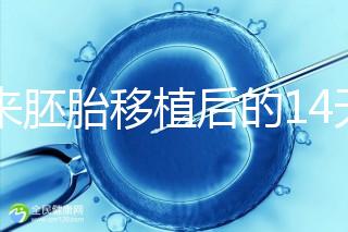 原來胚胎移植后的14天，這些信號預示著床成功