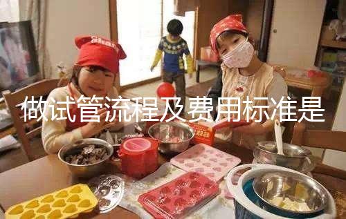 做試管流程及費用標準是多少