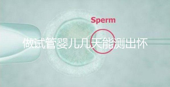 做試管嬰兒幾天能測(cè)出懷孕,3招教你提高試管成功率