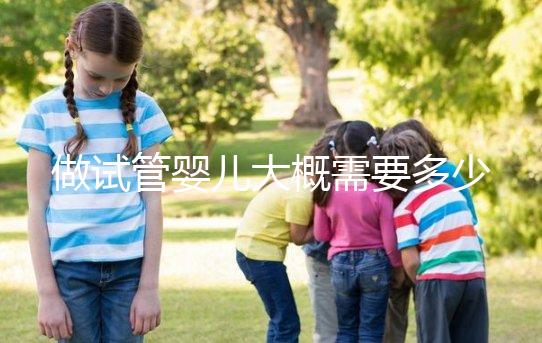 做試管嬰兒大概需要多少錢(qián)