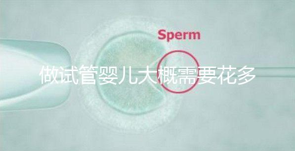 做試管嬰兒大概需要花多少錢，做試管嬰兒需要花多少錢