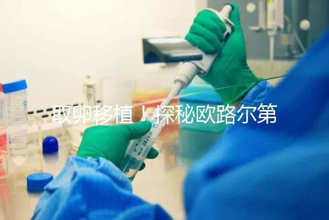 取卵移植！探秘歐路爾第三代試管嬰兒的流程