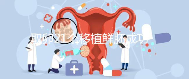 取卵21個移植鮮胚成功率真不低，前提：等卵巢恢復后再手術(shù)