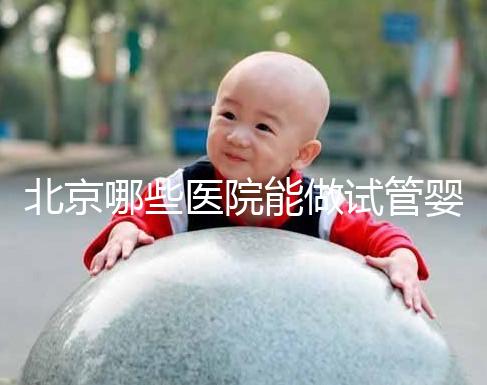 北京哪些醫院能做試管嬰兒？