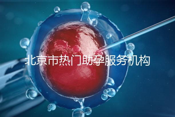 北京市熱門助孕服務(wù)機(jī)構(gòu)排名榜單!這三家性價比比較出眾!