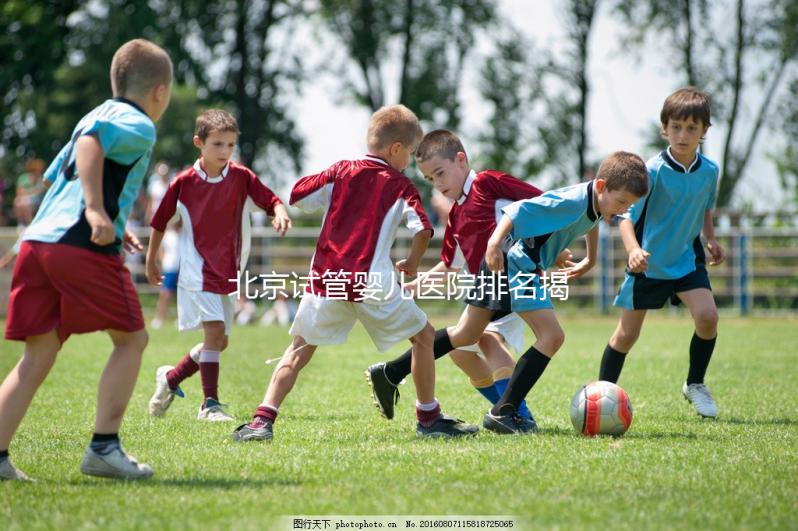 北京試管嬰兒醫(yī)院排名揭曉:價格合理,流程詳解