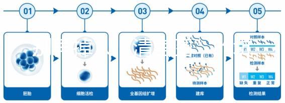 別再掉入“清宮圖”的坑中!備孕不應(yīng)錯(cuò)過(guò)女性最佳生育年齡