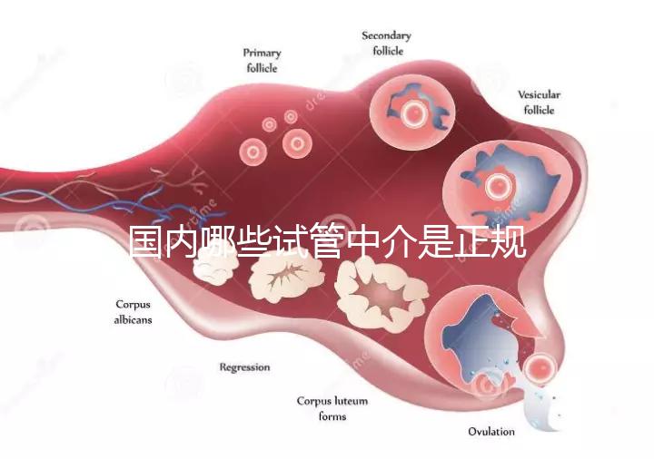 國內哪些試管中介是正規的看過來，可不止北京百匯這一家