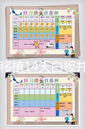 囊胚移植14天白板并非失敗？胚胎不在才真的沒希望