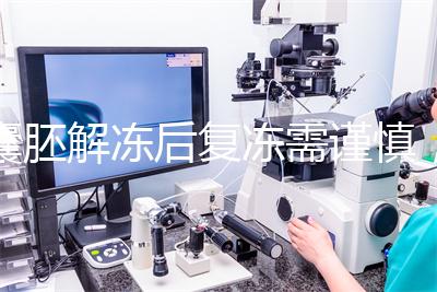 囊胚解凍后復凍需謹慎，這些對胚胎質(zhì)量的影響不可不知