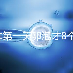 促排第一天卵泡才8個(gè)別慌，怎么辦、多大正常一文說清