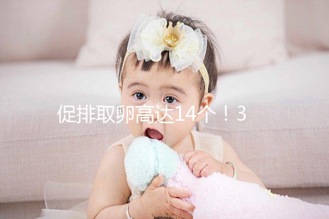 促排取卵高達14個！35歲做試管嬰兒取卵多個正常？