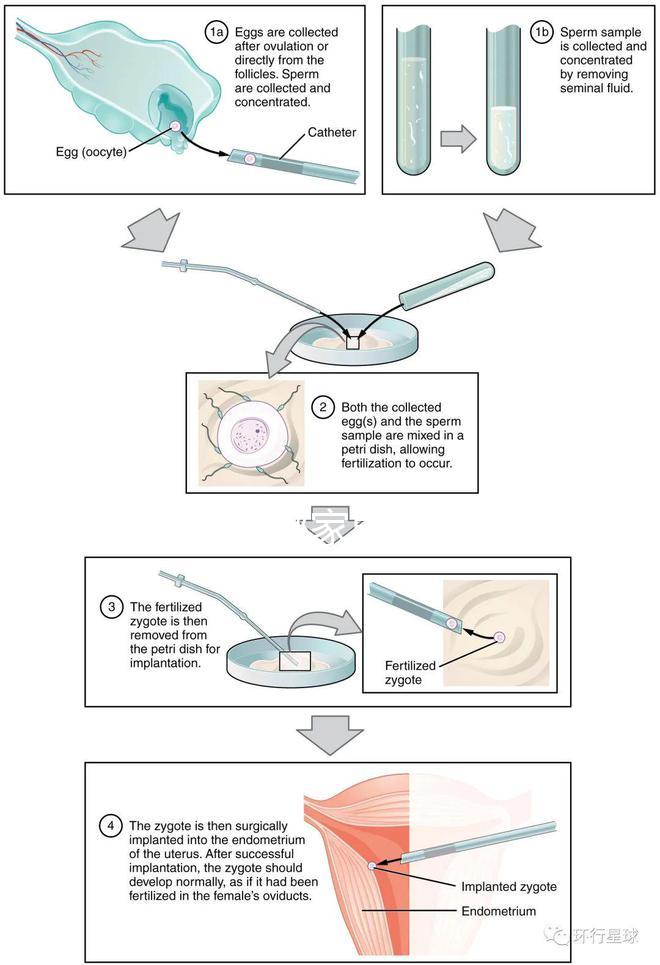 不知欽州哪家男科醫院好戳，機構能不能一目了然