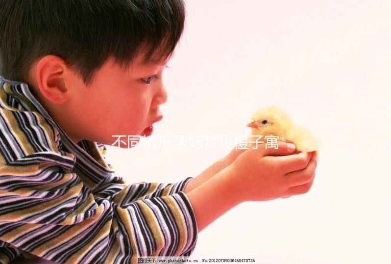 不同情形孕婦夢見橙子寓意各異!具體胎夢全解析