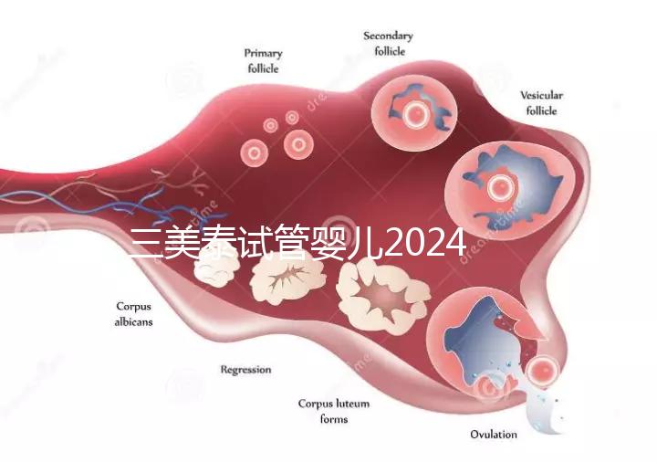 三美泰試管嬰兒2024年的成功率還能更高嗎？