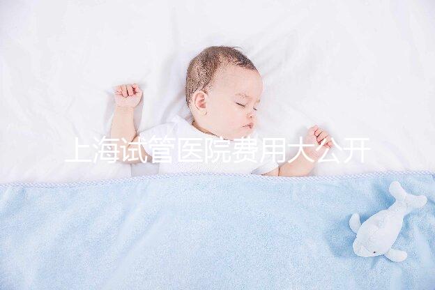 上海試管醫(yī)院費(fèi)用大公開！過來人表示無法報(bào)銷真不便宜