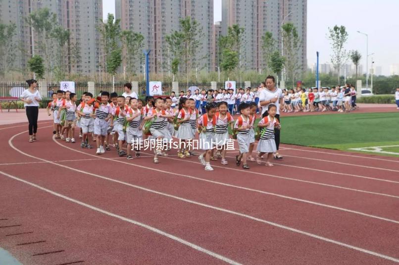 排卵期fsh和lh比值對照參考表速覽，大于2小于3真不正常