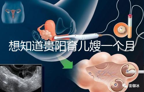 想知道貴陽育兒嫂一個(gè)月戳多少錢,云巖2萬夠不夠