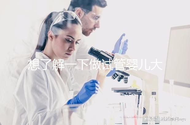 想了解一下做試管嬰兒大概需要多少錢。