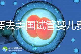 想要去美國試管嬰兒費用要花多少錢？2025年費用明細！