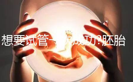 想要試管一次成功?胚胎移植后這5大注意事項(xiàng)請(qǐng)收藏