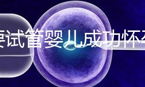 想要試管嬰兒成功懷孕？先學會正確飲食！