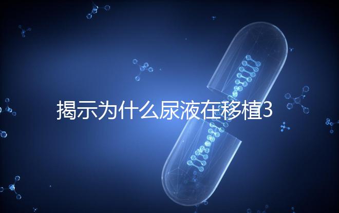 揭示為什么尿液在移植30天后需要稀釋才能測量，正常情況下不一目了然