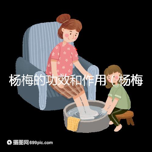 楊梅的功效和作用（楊梅的功效和作用禁忌 營(yíng)養(yǎng)價(jià)值）