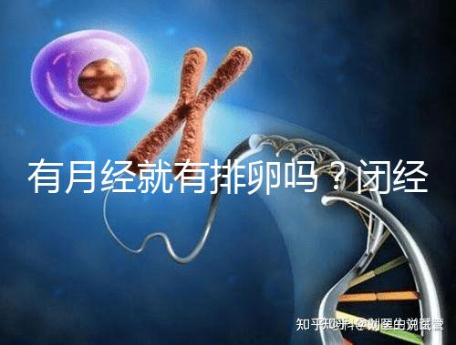 有月經就有排卵嗎？閉經、絕經還能做試管嬰兒嗎？