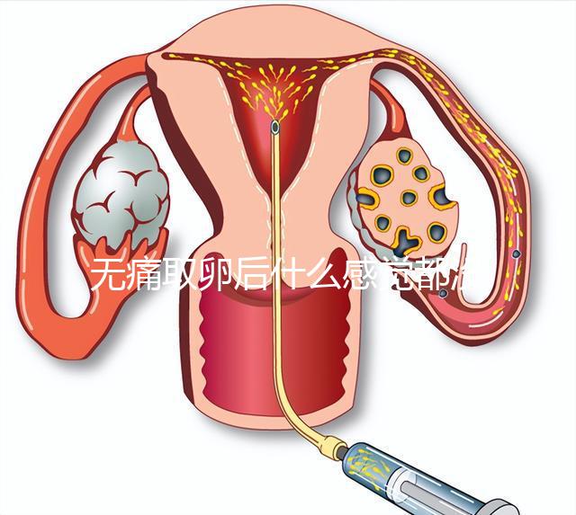 無痛取卵后什么感覺都沒有異常是謠言！只會出現一部分...