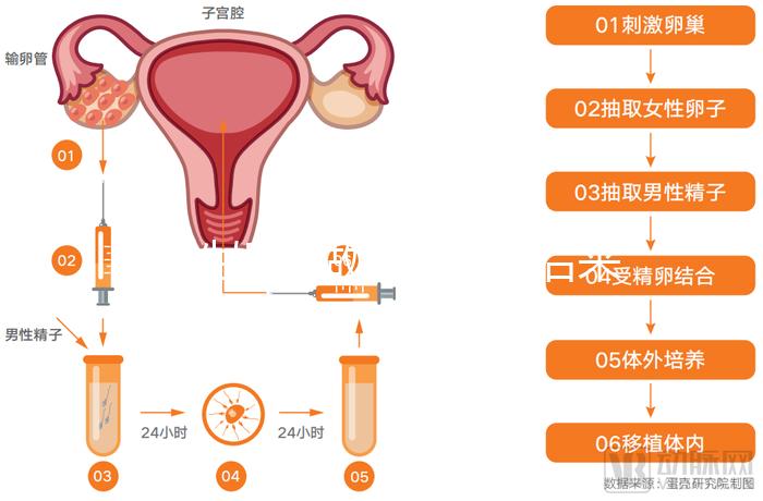無性婚姻做試管嬰兒后來怎么樣？三個大案例揭開了內幕