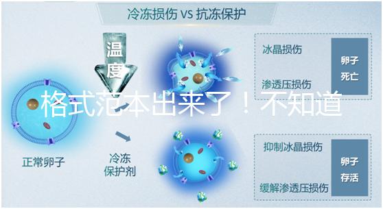 格式范本出來了！不知道出生證明遺失申請(qǐng)書怎么寫看這兒