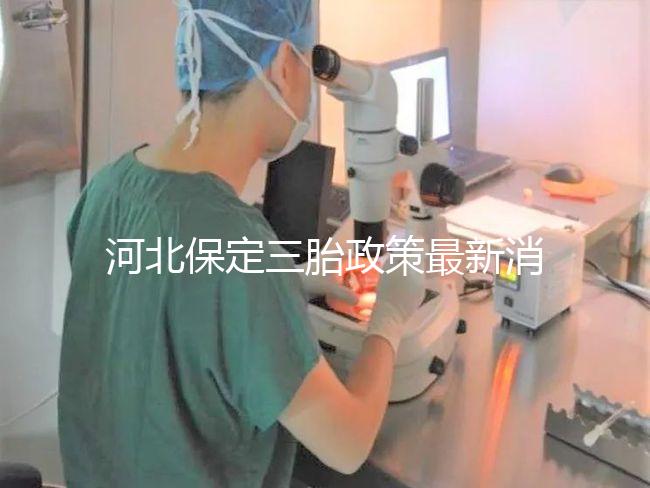 河北保定三胎政策最新消息2024，不造補貼怎么申請看過來