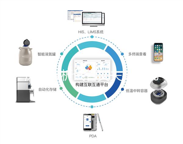 深入分析試管丈夫排精幾天后取卵正常,找到正確的時間更容易懷孕