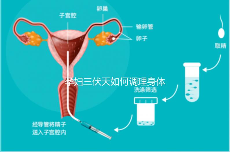 孕婦三伏天如何調(diào)理身體看這,專家:不建議曬太陽補(bǔ)鈣