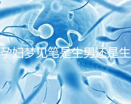 孕婦夢見筆是生男還是生女?孕期胎夢解讀