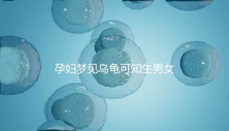 孕婦夢見烏龜可知生男女?解讀相關(guān)胎夢具體含義