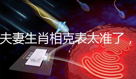 夫妻生肖相克表太準了,丑牛和午馬結合真犯“沖”