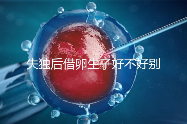 失獨(dú)后借卵生子好不好別還不造，供卵or領(lǐng)養(yǎng)過(guò)來(lái)人感受更深
